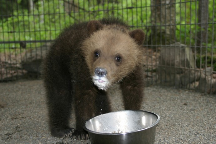 Infirmary 26 Cub Facility 01 mwmv8f